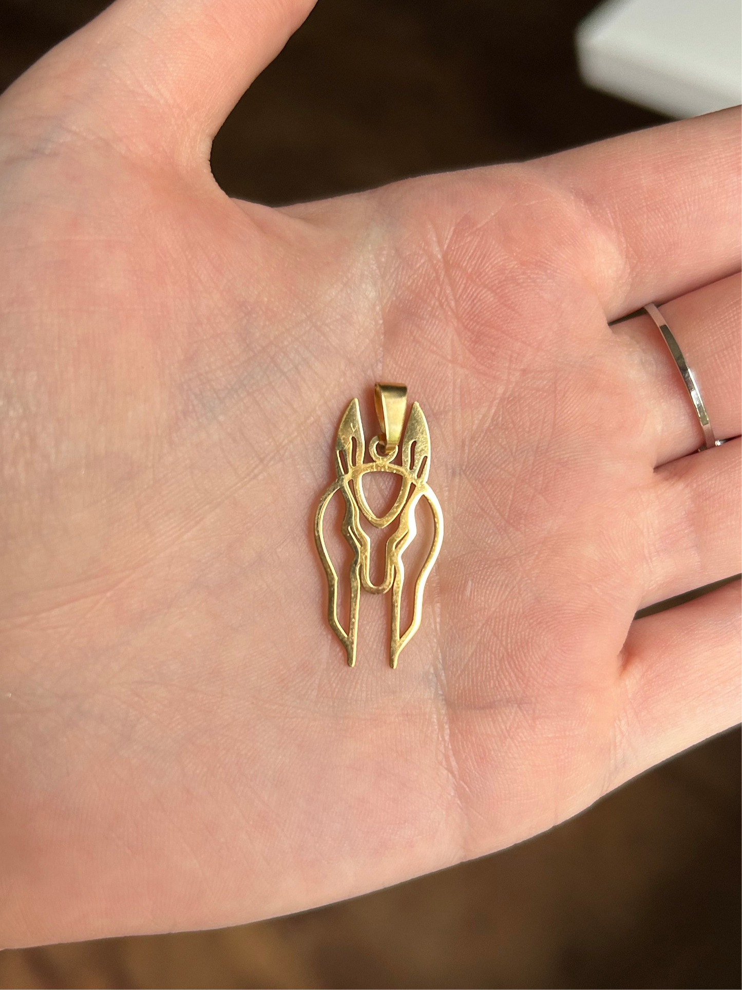 Pendentif Anubis