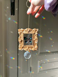 Suncatcher Papillon Diaethria neglecta
