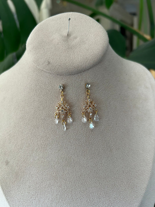 Puces d’oreilles Ludivine